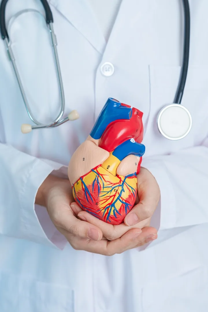 especialista-cardiologia-clinica-ecocardiografia-en-cdmx-mexico